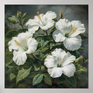 Witte Hibiscus Bloem Kunstprint Poster