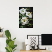 Witte Hibiscus Bloem Kunstprint Poster (Thuiskantoor)