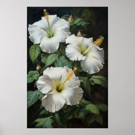 Witte Hibiscus Bloem Kunstprint Poster (Voorkant)