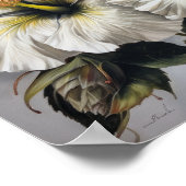 Witte Hibiscus Bloem Kunstprint Poster (Hoek)