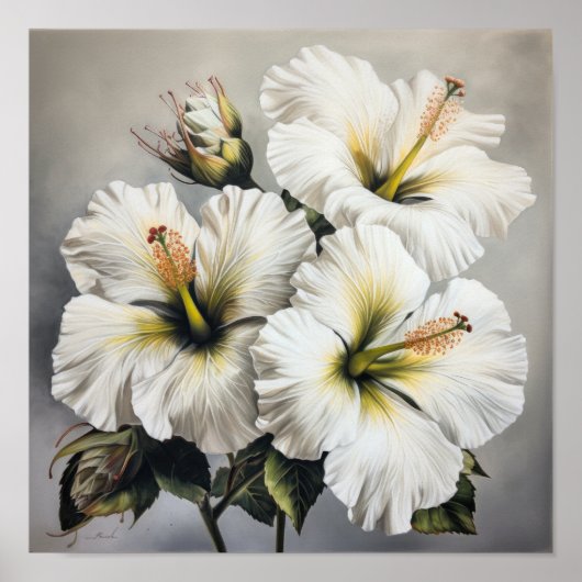 Witte Hibiscus Bloem Kunstprint Poster (Voorkant)