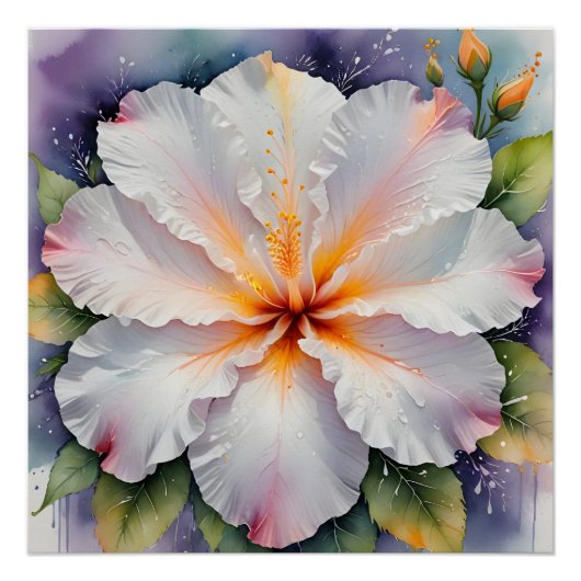 witte hibiscus bloem poster (Voorkant)