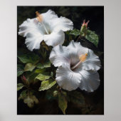 Witte Hibiscus Bloemen Art Print Poster (Voorkant)