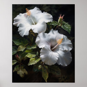Witte Hibiscus Bloemen Art Print Poster