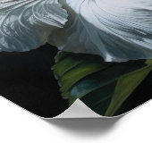 Witte Hibiscus Bloemen Art Print Poster (Hoek)