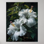 Witte Hibiscus Bloemen Art Print Poster (Voorkant)