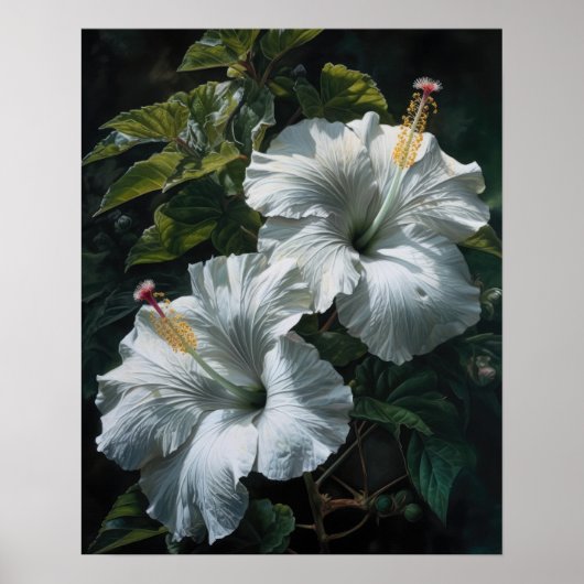 Witte Hibiscus Bloemen Art Print Poster (Voorkant)
