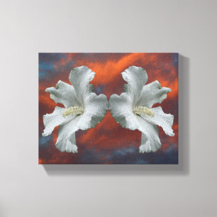 Witte Hibiscus-bloemen op dramatische hemel Canvas Afdruk