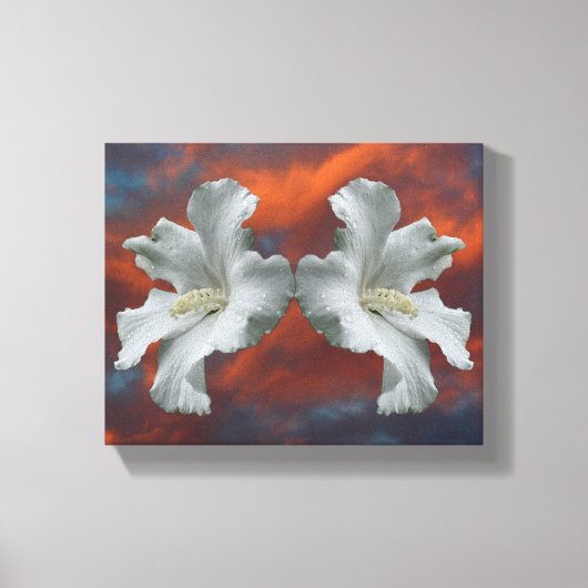 Witte Hibiscus-bloemen op dramatische hemel Canvas Afdruk (Voorkant)