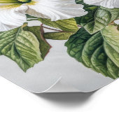 Witte Hibiscus Bloemenkunst Print Poster (Hoek)