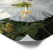 Witte Hibiscus Bloemenkunst Print Poster (Hoek)