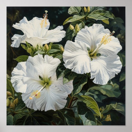 Witte Hibiscus Bloemenkunst Print Poster (Voorkant)