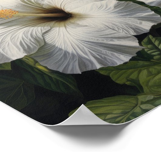 Witte Hibiscus Bloemenkunst Print Poster (Hoek)