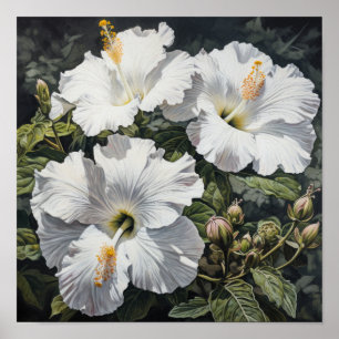 Witte Hibiscus Bloemenkunst Print Poster