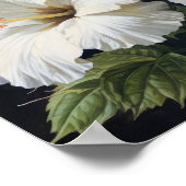 Witte Hibiscus Bloemenkunst Print Poster (Hoek)