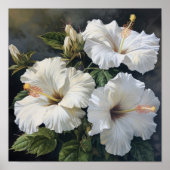 Witte Hibiscus Bloemenkunst Print Poster (Voorkant)