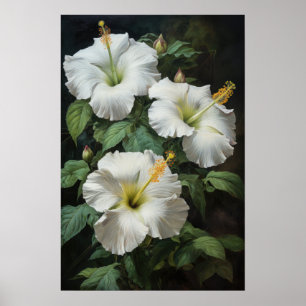 Witte Hibiscus Bloemenkunst Print Poster