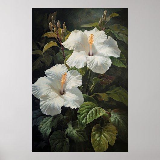 Witte Hibiscus Bloemenkunst Print Poster (Voorkant)