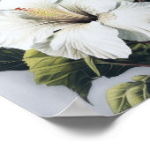 Witte Hibiscus Bloemenkunst Print Poster (Hoek)