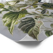 Witte Hibiscus Bloemenkunst Print Poster (Hoek)