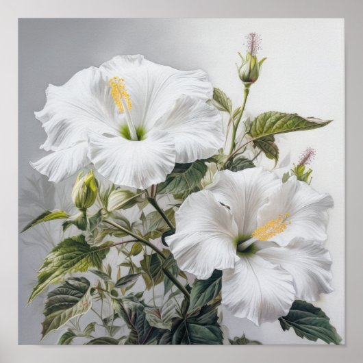 Witte Hibiscus Bloemenkunst Print Poster (Voorkant)