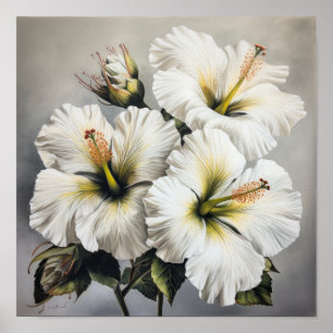 Witte Hibiscus Bloemenkunst Print Poster
