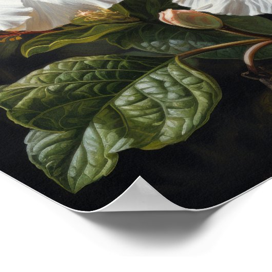 Witte Hibiscus Bloemenkunst Print Poster (Hoek)