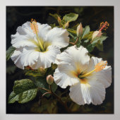 Witte Hibiscus Bloemenkunst Print Poster (Voorkant)