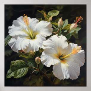 Witte Hibiscus Bloemenkunst Print Poster