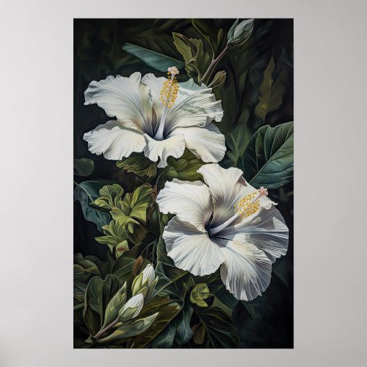 Witte Hibiscus Bloemenkunst Print Poster (Voorkant)