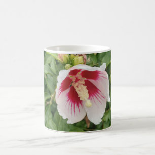 Witte Hibiscus Coffee Mok