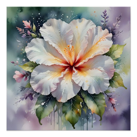 witte hibiscus droom poster (Voorkant)