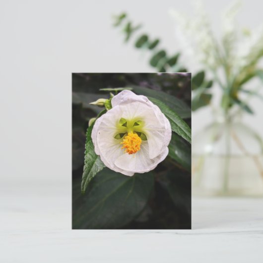 Witte Hibiscus - Eenduidig Briefkaart (Staand voorkant)