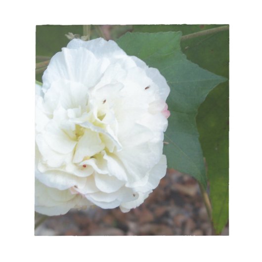 witte hibiscus mutabilis bloem notitieblok (Voorkant)