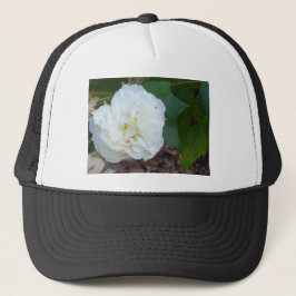 witte hibiscus mutabilis bloem trucker pet