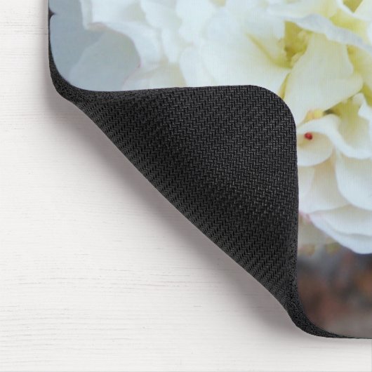 witte hibiscus mutabilis muismat (Hoek)