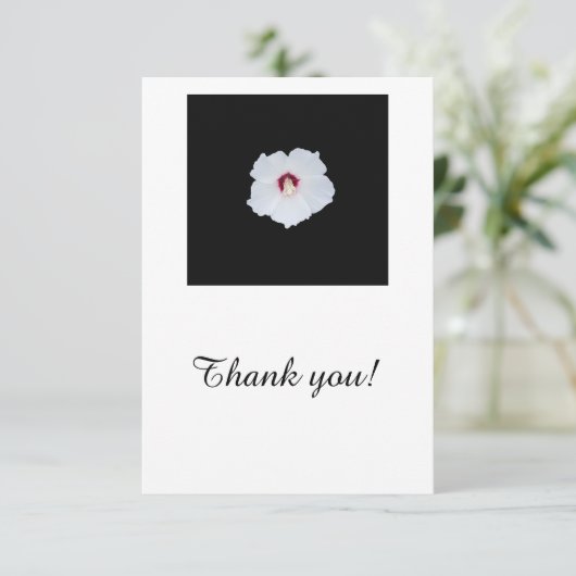 Witte hibiscus op blanco bedankkaart (Staand voorkant)