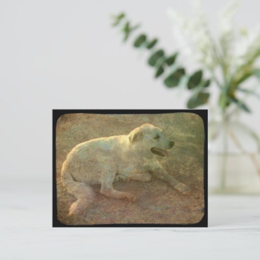 Witte hond briefkaart (Staand voorkant)