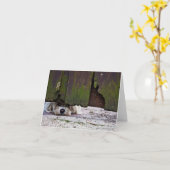 Witte Hond die onder Omheining gluren Kaart (Gele Bloem)