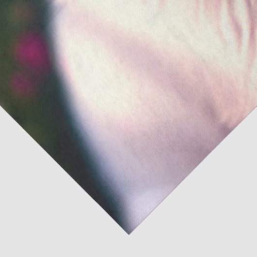 Witte hond en Roos Collectie Tissuepapier (Detail)