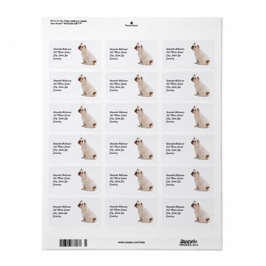 Witte hond etiket (Full Sheet)