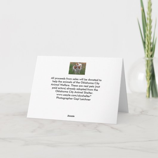 Witte hond feestdagen kaart (Achterkant)