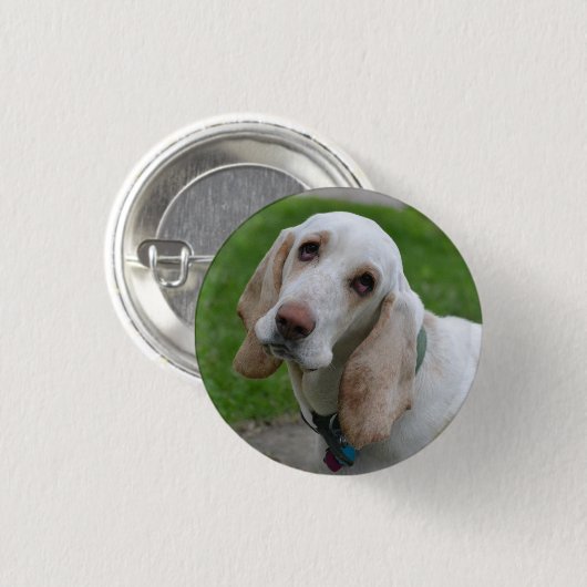 Witte hond hond, hoofd aan de zijkant gekanteld ronde button 3,2 cm (Voorkant /achterkant)