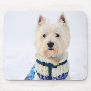 Witte hond in kleren in de sneeuw. muismat
