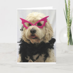Witte hond, kostuum, grappig, humor, bril op hond, kaart