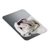 Witte hond magneet (Rechterzijde)