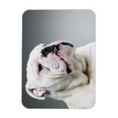 Witte hond magneet (Verticaal)