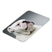 Witte hond magneet (Linkerzijde)