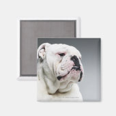 Witte hond magneet (Voorkant / Achterkant)