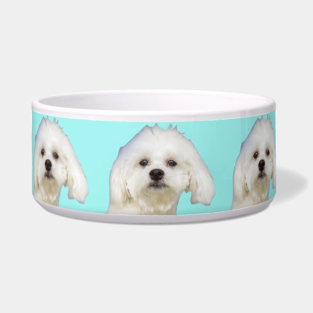 Witte hond Maltese puppy Voerbakje (Voorkant)